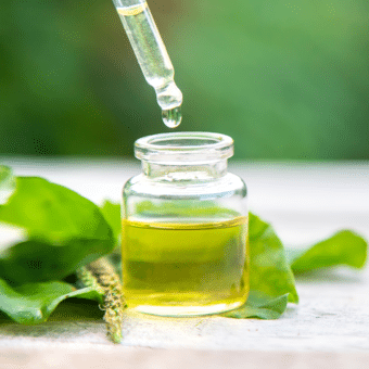 Cosmética Cruelty Free